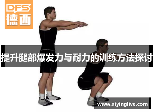 提升腿部爆发力与耐力的训练方法探讨